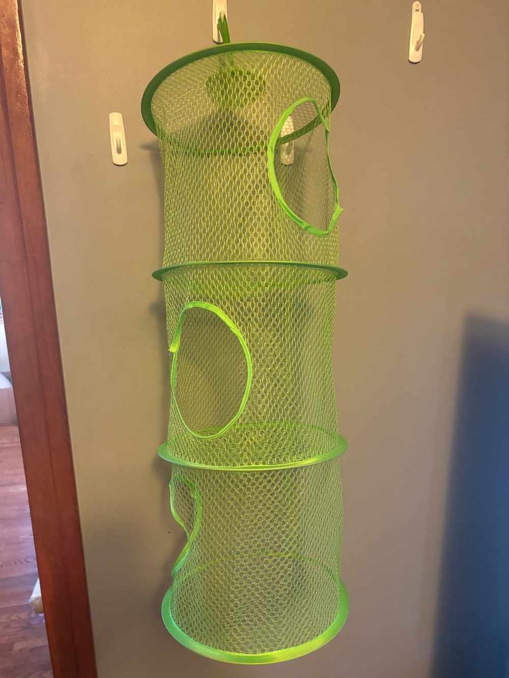 Neon Green Mesh Hanging Storage